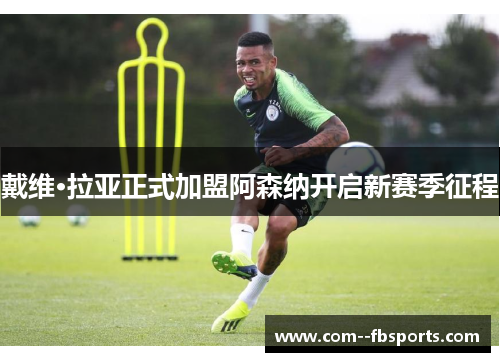 戴维·拉亚正式加盟阿森纳开启新赛季征程